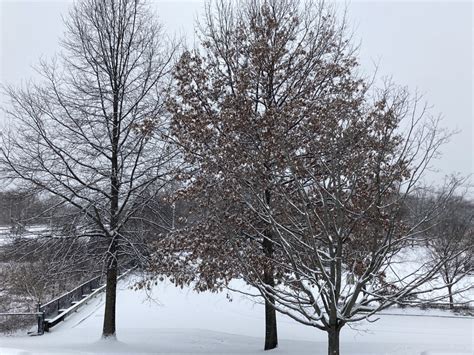 How to report a power outage during a winter storm | ABC6