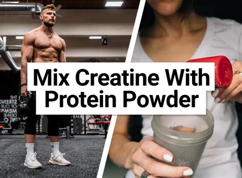 Can You Mix Creatine with Protein Powder? - Taste Good Protein