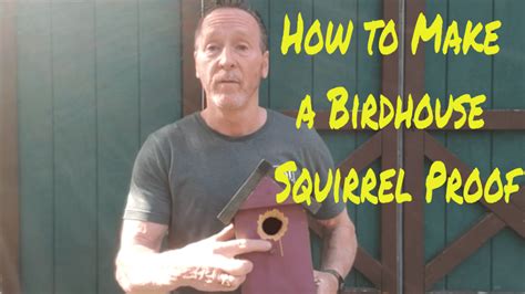 How to Make a Birdhouse Squirrel Proof with Predator Guards