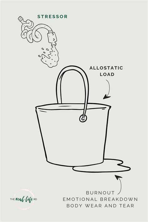 What is Allostatic Load and Why Does It Matter For Our Health?