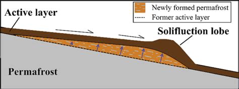 Simplified conceptual model of solifluction lobe displacement (black... | Download Scientific ...