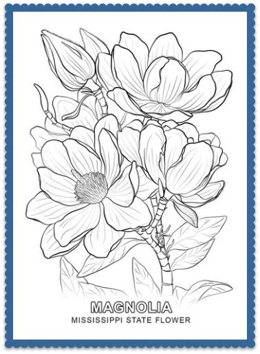 Mississippi State Flower - Magnolia by USA Facts for Kids