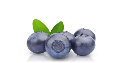 Blueberry In Telugu Name [3+ Benefits, Nutrients, Types, Price ]