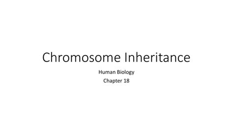 Chromosome Inheritance