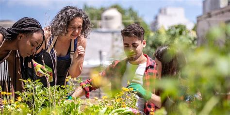 Scaling Up Urban Agriculture | Lab Manager