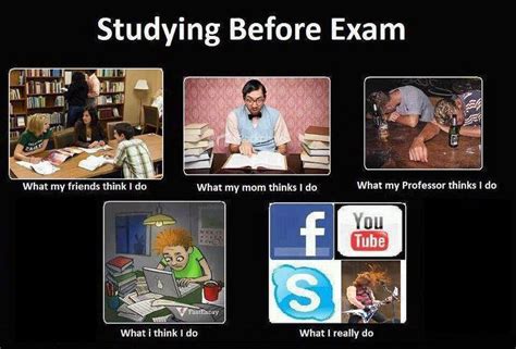 Motivational Exam Memes (Or just Procrastination really) | The Haller Experience