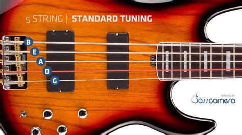 Bass Tuning - 5 Strings Standard (B,E,A,D,G) [HD] - YouTube