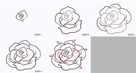 Free Roses Drawing, Download Free Roses Drawing png images, Free ClipArts on Clipart Library