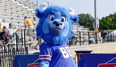 Ranking every NFL team’s mascot