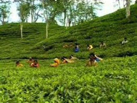 Welcome to Bangladesh: Natural Beauty of Sylhet