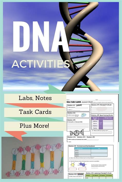 DNA labs, DNA task cards, protein synthesis activities, notes, and more ...