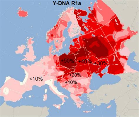 Distribution Haplogroup R1a Y-DNA - Гаплогруппа R1a (Y-ДНК) — Википедия | История европы ...