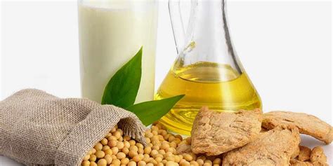 5 Benefits Of Using Soybean Oil For Hair-5 Benefits Of Using Soybean ...