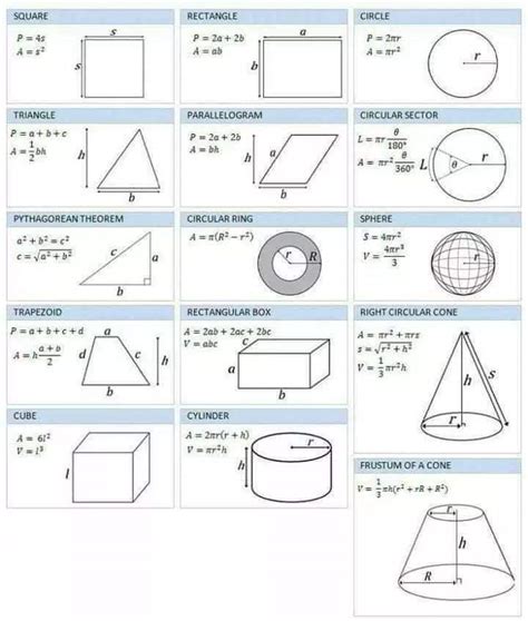 Wiskunde Graad 6 Omtrek