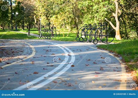 Bicycle road stock image. Image of tree, leaves, pavement - 24533185