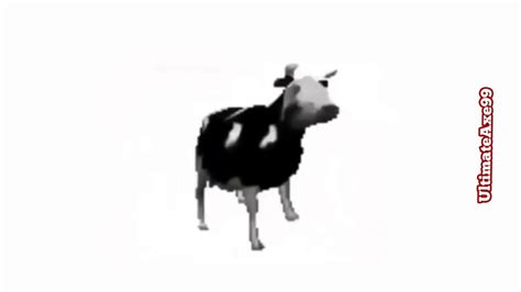 Dancing Cow Meme - YouTube