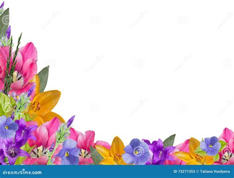 Horizontal Frame Flowers Border Stock Images - Download 1,309 Royalty Free Photos