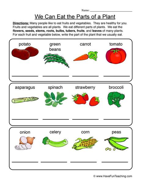 Edible Parts of a Plant Worksheet | Have Fun Teaching 1st Grade Worksheets, Science Worksheets ...