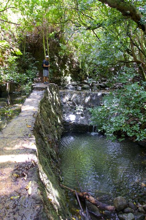 Lulumahu Falls hike - Oahu - Intentional Travelers