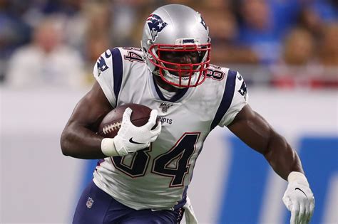 Veteran Benjamin Watson expected to play big role for Patriots in 2019 ...