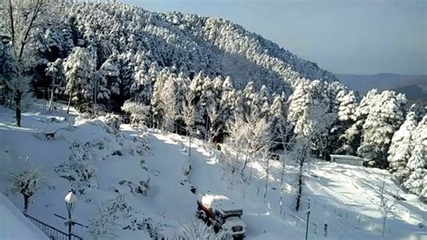 Patnitop Snowfall Time 2020 - Sadi kuwu