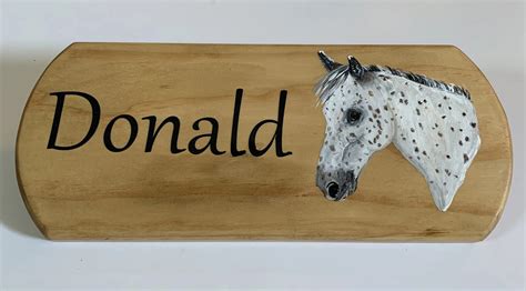 Custom Hand Painted Stall Sign - Miraclepony