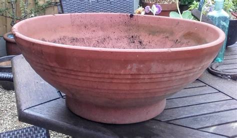 Large terracotta bowl planter | in Ilminster, Somerset | Gumtree