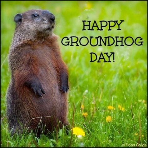 Happy Groundhog Day Image Quote Pictures, Photos, and Images for Facebook, Tumblr, Pinterest ...