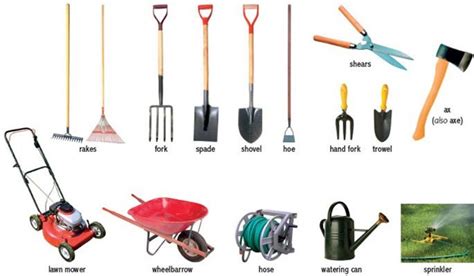 How to Care for Lawn and Garden Tools | Pole Saw Advisor