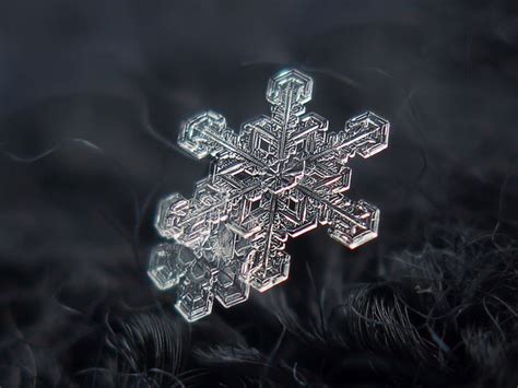 How to take Macro Snowflakes Photography under $50 Customized Lens