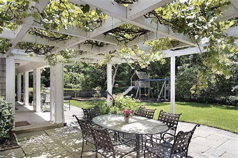 Pergola Plants and Vines - Landscaping Network