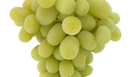 White Seedless Grapes – Cairo Fruit