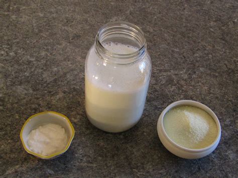 3 Easy Ways To Make Powdered Milk Yogurt – Urban Fermentation