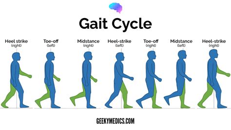 Gait Abnormalities | Geeky Medics