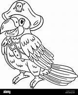 Pirate Parrot Cartoon Coloring Page Cartoon Coloring  Vrogueco sketch template