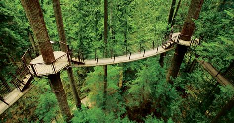 Descubre TU MUNDO: Destino: puente colgante de Capilano, Vancouver, Canadá