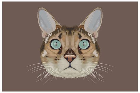 Realistic cat head hand drawing 1268377 Vector Art at Vecteezy