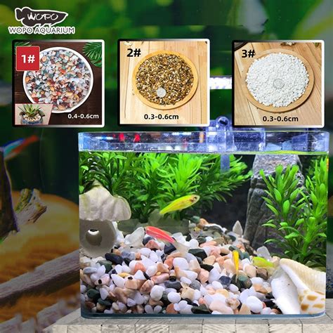 Colorful Rocks Selected White Pebbles Stones Natural stone Aquarium ...