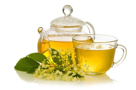 Buy Elderflower Tea: Benefits, Side Effects, How to Make | Herbal Teas Online