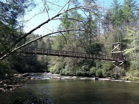 Top 5 Hikes in Blue Ridge | Explore Georgia