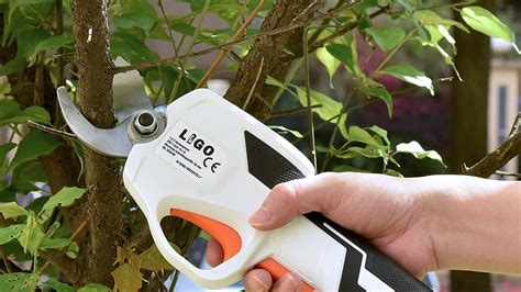 10 Best Electric Pruning Shears - 2023 buyforgarden.co.uk