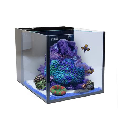 Nano Reef Tanks: The Pro and Cons of Small Reefs - Mad Hatter's Reef Tank