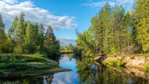 Taiga; Clima, fauna, flora y sus características | OVACEN