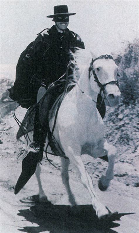 Flashback: The Horses of Zorro - Western Horseman