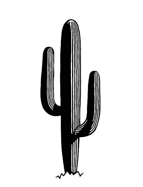 Saguaro Cactus vector art illustration - Keramik - Cactus | Cactus illustration, Cactus vector ...