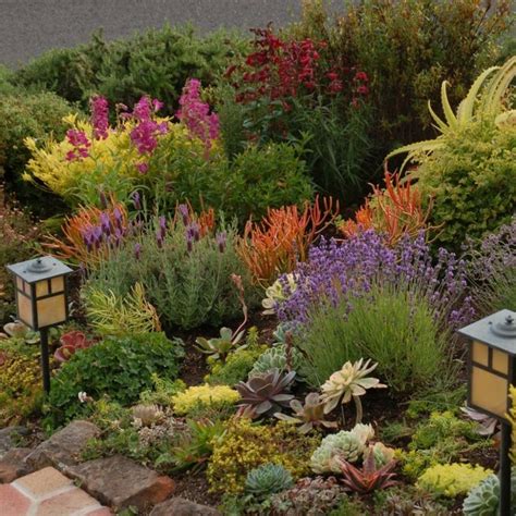 Drought Tolerant Flowering Plants Zone 9 - 9 Best Drought-Tolerant Plants - Drought-Resistant ...