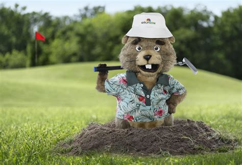 HE’S A GOLFER! HE’S A GOPHER! HE’S THE FURRY NEW FACE OF GOLFNOW’S MOST ...