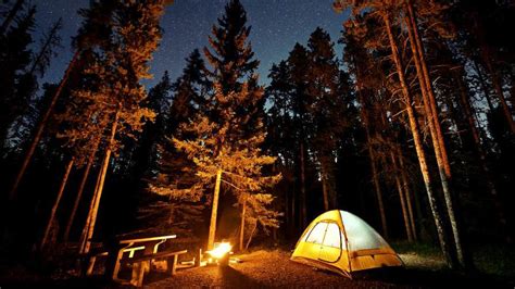 15 Tips Infalibles Y Prácticos Para Acampar En El Bosque