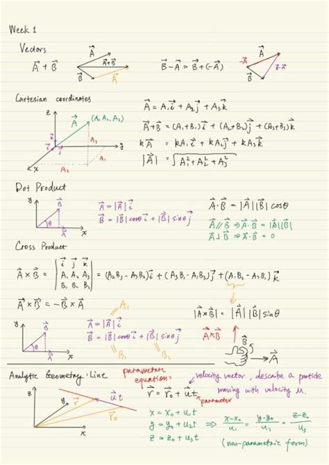 Vector Calculus: Basics - KZHU.ai 🚀