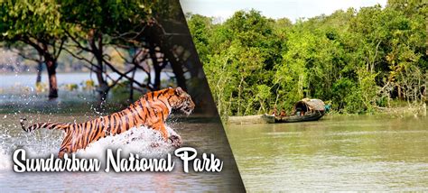 Sundarban Tiger Reserve